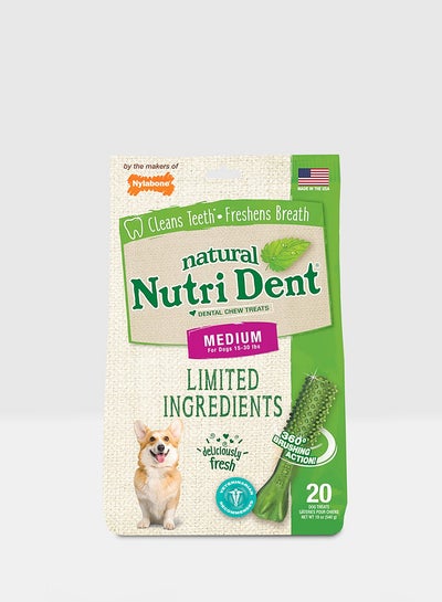 Buy 20-Piece Nutri Dent Fresh Breath Dental Chew Treats Green M in UAE