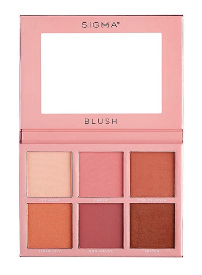 Buy Blush Cheek Palette Multicolour in UAE