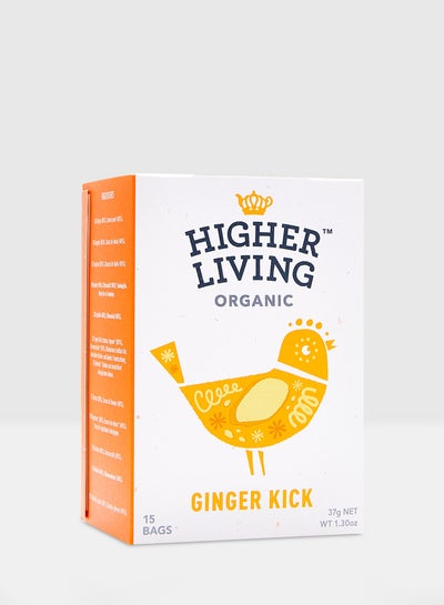 Buy Ginger Kick 37grams in UAE