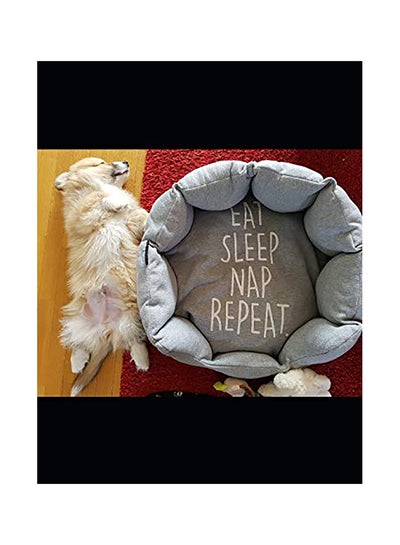 Buy Eat Sleep Nap Repeat Corgi paperback english in UAE