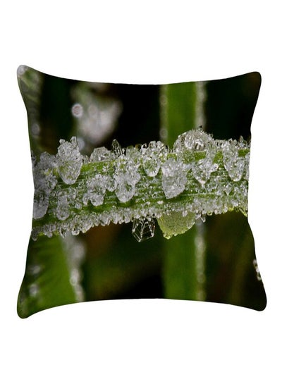 Buy Printed Pillow Cover polyester Green/White/Black 40x40cm in Egypt