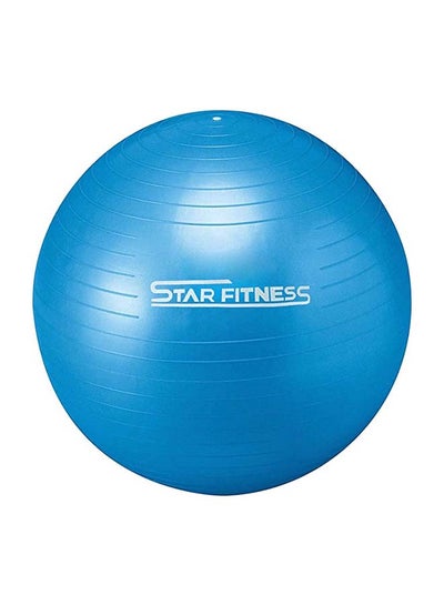 Buy Anti Burst Gym Ball 26inch in UAE