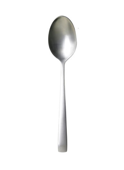 Buy Dessert Spoon Silver in UAE