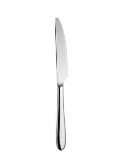 Buy Table Knife Silver in UAE