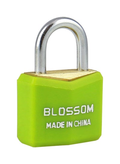 Buy Polish Brass Padlock Green/Silver 20x3.3mm in UAE