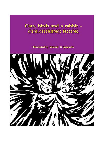 Buy Cats , Birds and A Rabbit paperback english in UAE