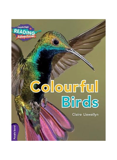 Buy Colourful Birds paperback english in UAE