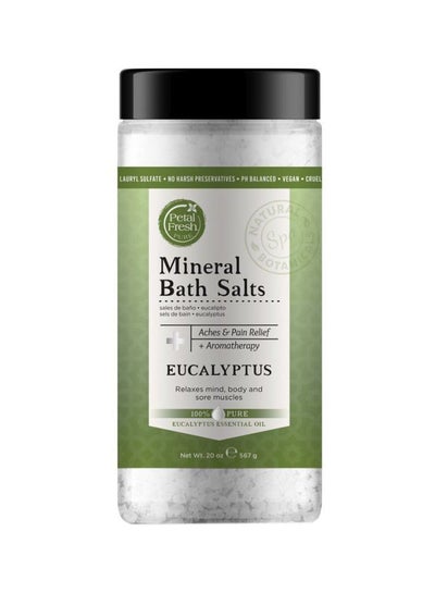 اشتري Eucalyptus Mineral Bath Salts White 20ounce في الامارات