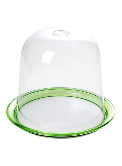 Buy Globo Panettone Cake Tray With Lid Clear/Green 32.5×32.5×26.5cm in Egypt