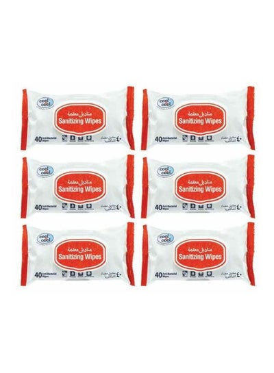 Buy Antibacterial Sanitizing Wipes 40's Pack Of 6 in UAE