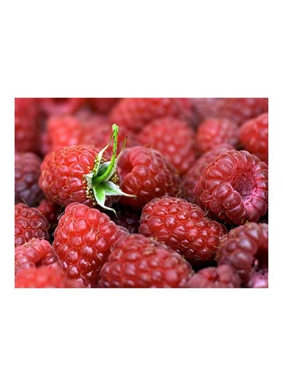 Buy Raspberries Themed Wall Sticker Red/Green 100x75cm in Egypt