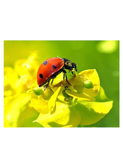 Buy Ladybug Themed Self Adhesive Wall Sticker Yellow/Green/Red 80x60cm in Egypt