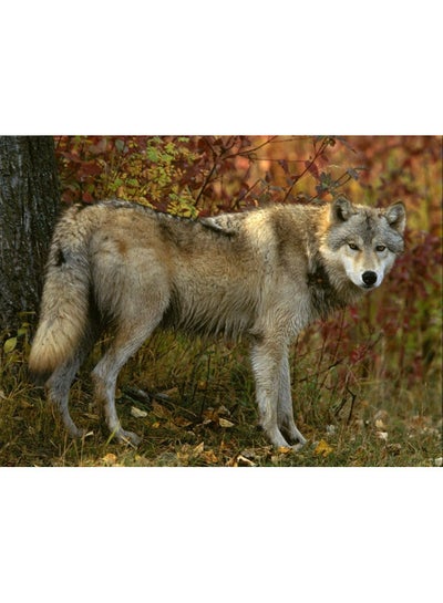 Buy Wolf Printed Self Adhesive Wall Sticker Brown/Green/Red 140x105cm in Egypt