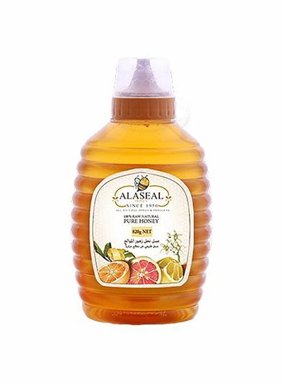 Buy Citrus Honey 820grams in Egypt