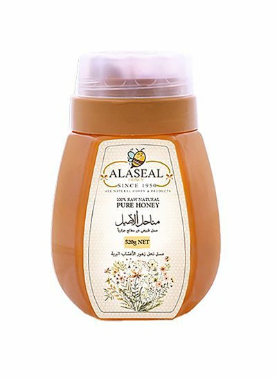 Buy Wild Blossom Honey 520grams in Egypt