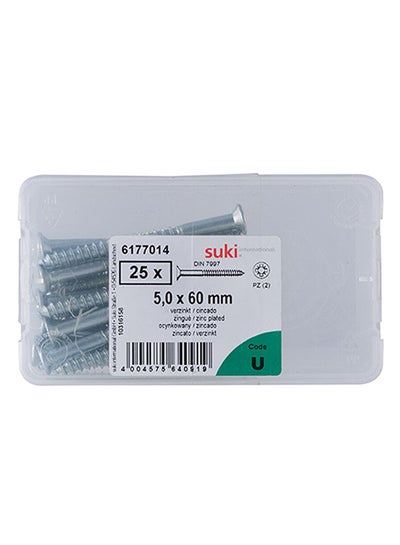 Buy 25-Piece Zinc Plated Pozidriv Wood Screws Silver in Saudi Arabia