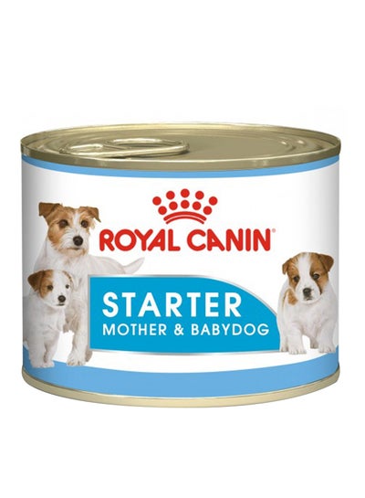 Buy Canine Health Nutrition Starter Mousse Can Wet Food 195g Pack Of 12 in UAE