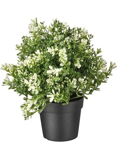 Buy Artificial Potted Plant Multicolour 22cm in Saudi Arabia