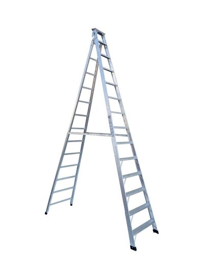 Buy Dual Purpose Ladder Steps 14 Silver 14meter in UAE