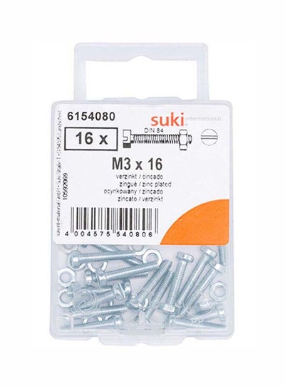 Buy 16-Piece Zinc-Plated Pan Head Slotted Machine Screw With Bolt Silver 16mm in Saudi Arabia