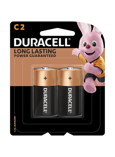 Buy Type C Batteries, pack of 2 Multicolour in Egypt