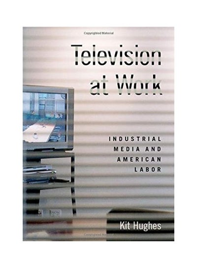 اشتري Television At Work: Industrial Media And American Labor Paperback في الامارات