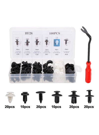 Buy 100Pcs Car Body Plastic Push Retainer Pin Rivet Fasteners Trim Moulding Clip Automotive Furniture Assembly Expansion Screws Kit with Removal Tool Screwdriver for Vehicles in Saudi Arabia