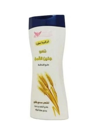 Buy Wheat Germ Shampoo 450ml in UAE
