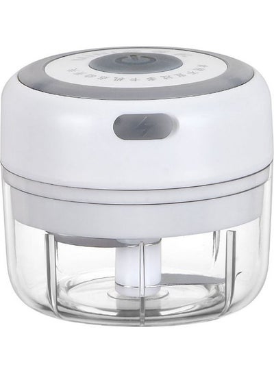 One Blue 30w Electric Food Chopper & Garlic Masher & Vegetable Cutter, Usb  Rechargeable Kitchen Appliance, 100ml