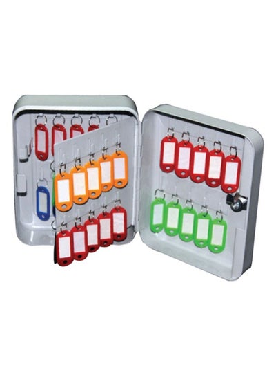 Buy 40 Hook Key Holder Box Grey in UAE