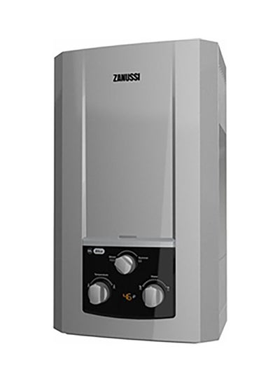 Buy Natural Discharge Gas Water Heater ZYG10113SL Silver in Egypt