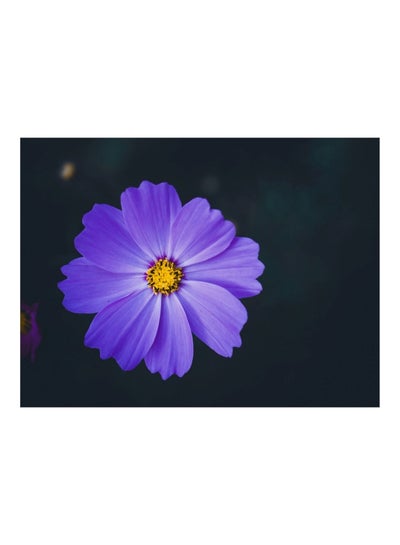 Buy Cosmea Vinyl Self Adhesive Wall Sticker Purple/Black in Egypt