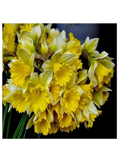 Buy Daffodils Vinyl Self Adhesive Wall Sticker Multicolor 80x60cm in Egypt