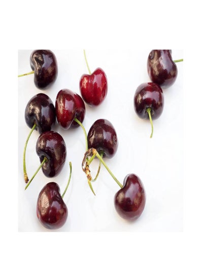 Buy Cherries Vinyl Self Adhesive Wall Sticker Multicolor 80x60cm in Egypt