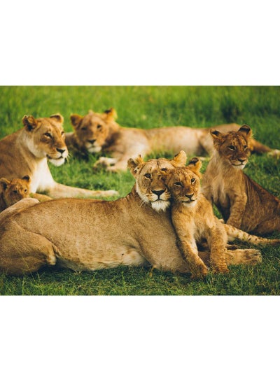 Buy Lioness Vinyl Self Adhesive Wall Sticker Multicolour 60x45cm in Egypt