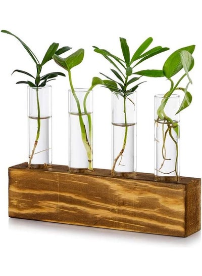 Buy 4-Piece Glass Test Tube Flower Wood Decorative Vase Multicolour 20x4x5.2x11.1x2.5cm in UAE