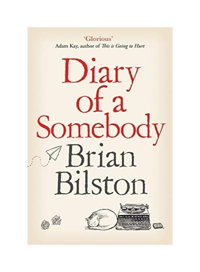 Buy Diary Of A Somebody paperback english in UAE