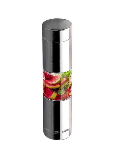 Buy Flavor U See Insulated Stainless Steel Fruit Infuser Slim Water Bottle Silver 460ml in UAE