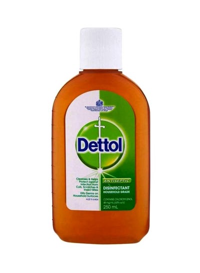 Buy Antiseptic Disinfectant Liquid 250ml in UAE