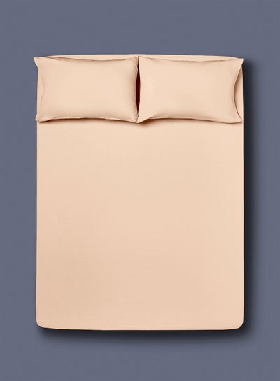 Buy Fitted Bedsheet Set Twin Size  100% Cotton High Quality Light Weight Everyday Use 180 TC 1 Bed Sheet And 2 Pillow Cases Beige Color Cotton Beige in UAE