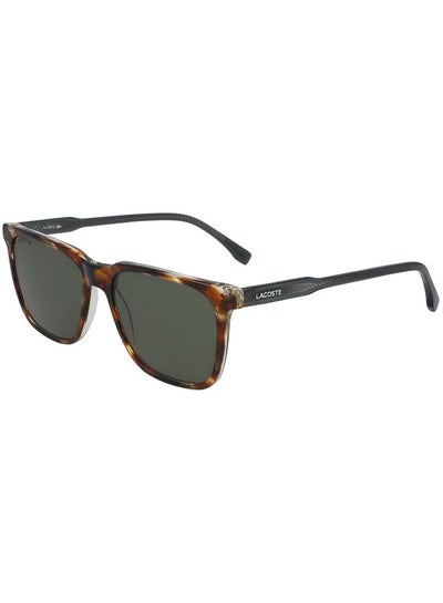 Buy Men's Full Rimmed Modified Rectangular Frame Sunglasses - Lens Size: 54 mm in UAE