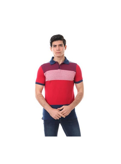 Buy Embroidered Casual Poloshirt Multicolour in Egypt