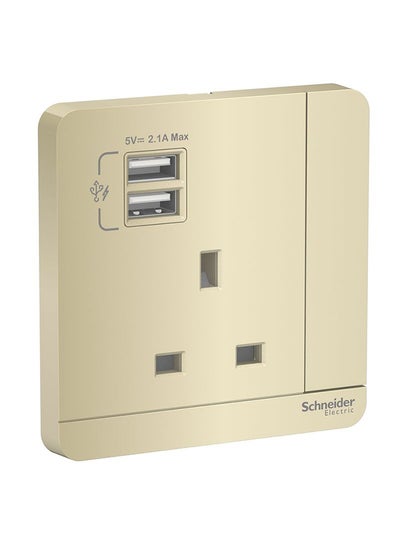 Buy AvatarOn 2 USB Charger Switched Socket 3P 13A Gold 8.6cm in UAE