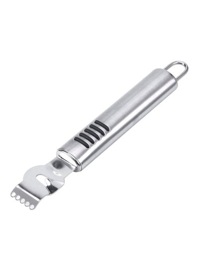 Buy Fruit Scraping Grater Silver 17x2cm in UAE