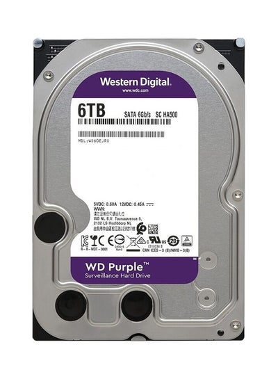 Buy SATA Surveillance Hard Drive Silver/Purple in UAE