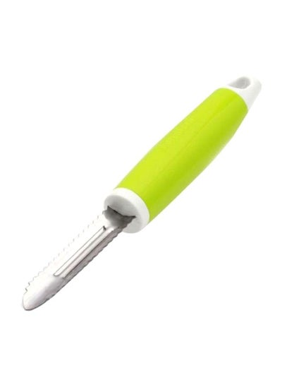 Buy Fish Peeler Green/Silver 26x232x60mm in UAE