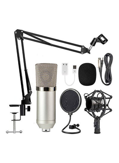 Buy Set Of 8 Professional Sound Recording Microphone Mic KTV Singing Studio  Kit Silver in Saudi Arabia