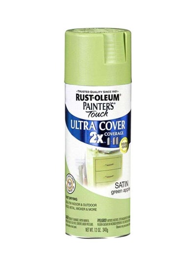 Buy Painter's Touch 2X Ultra Cover Spray Paint Satin Green Apple in UAE