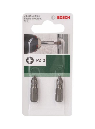 Buy 2-Piece PZ2 Bit Silver in UAE