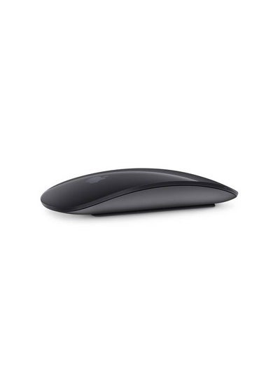 Buy Magic Mouse 2 Grey in UAE